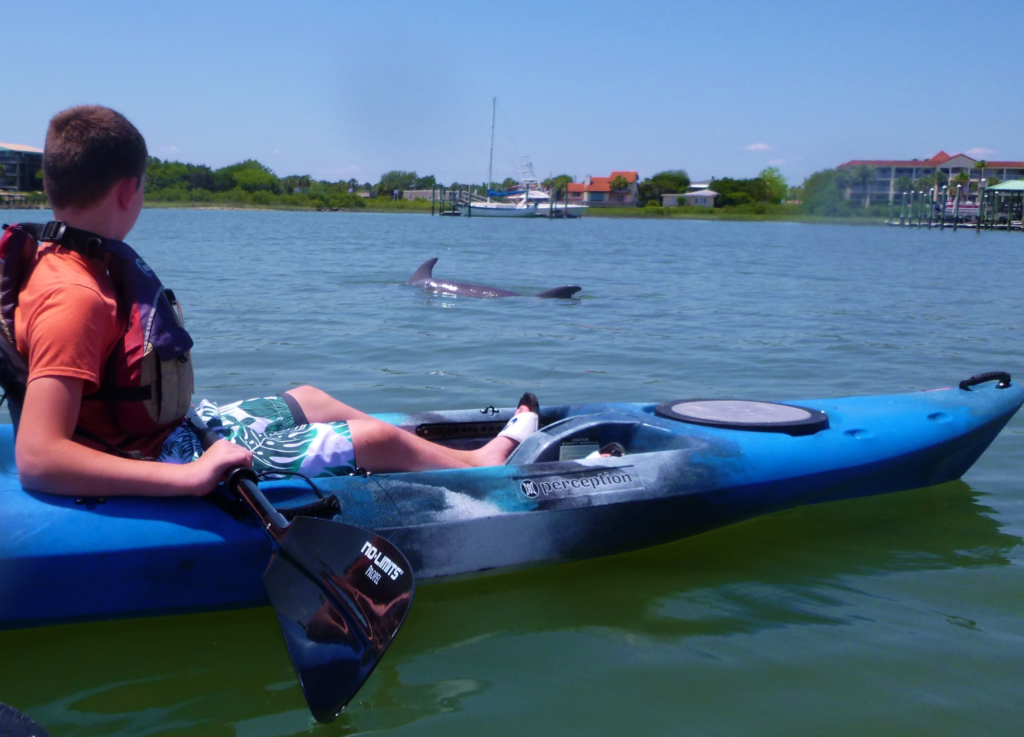 Boy on a kayak during a Salt Run tour, spotting a dolphin.